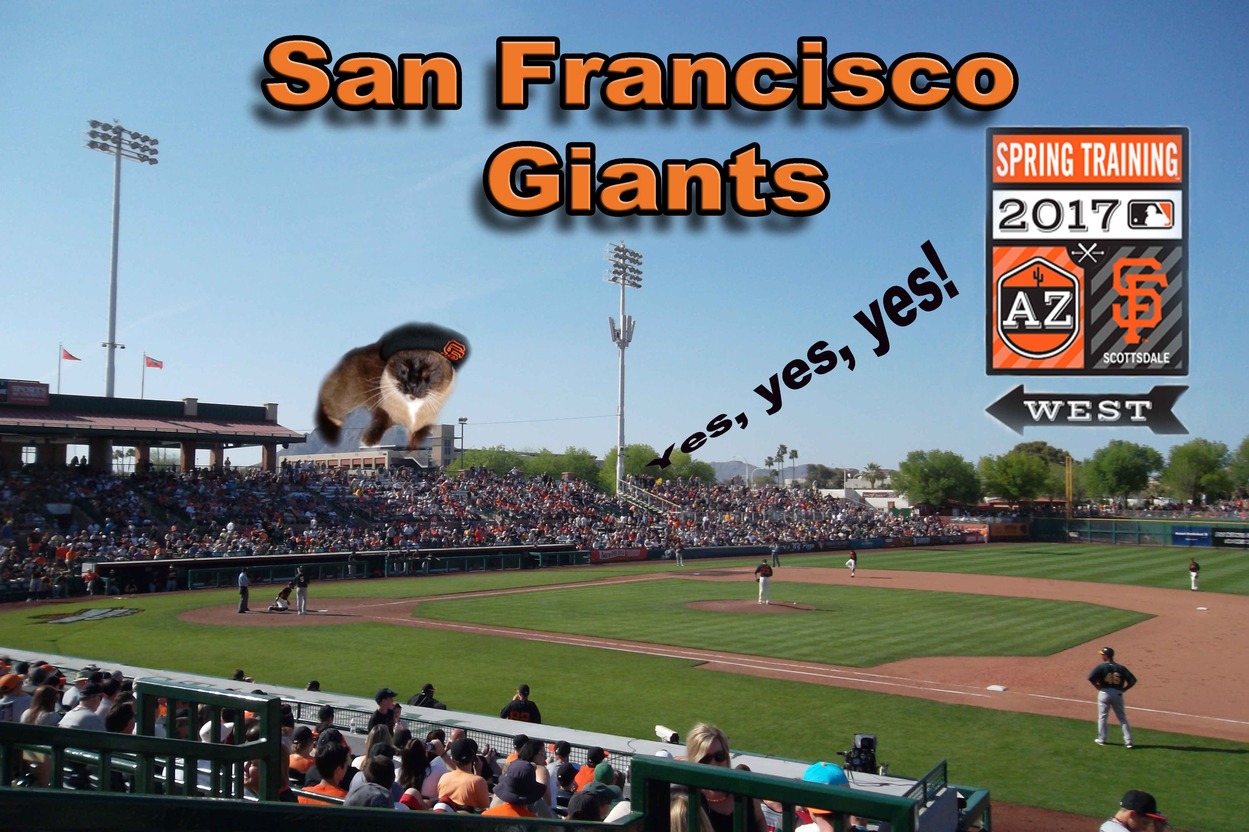 Episode 40 Artwork_edited-2